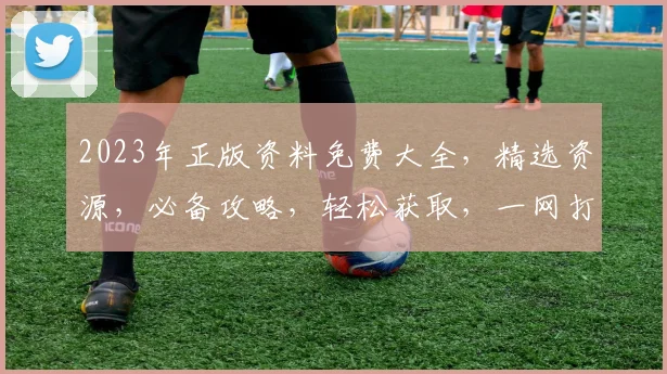 2023年正版资料免费大全，精选资源，必备攻略，轻松获取，一网打尽
