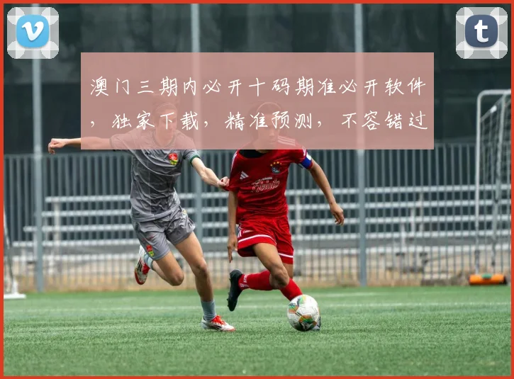 澳门三期内必开十码期准必开软件，独家下载，精准预测，不容错过