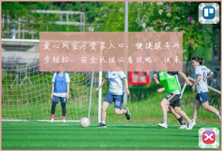 爱心网官方登录入口，便捷服务两步轻松，安全认证必看攻略，快来体验